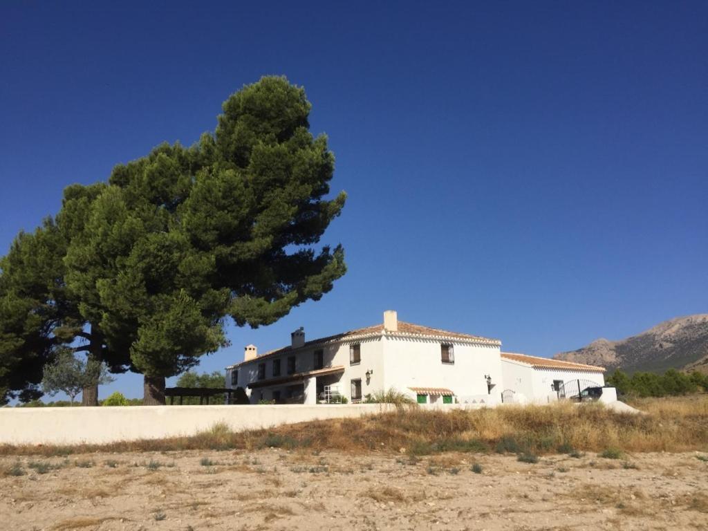 Cortijo El Ciruelo Bed and breakfast