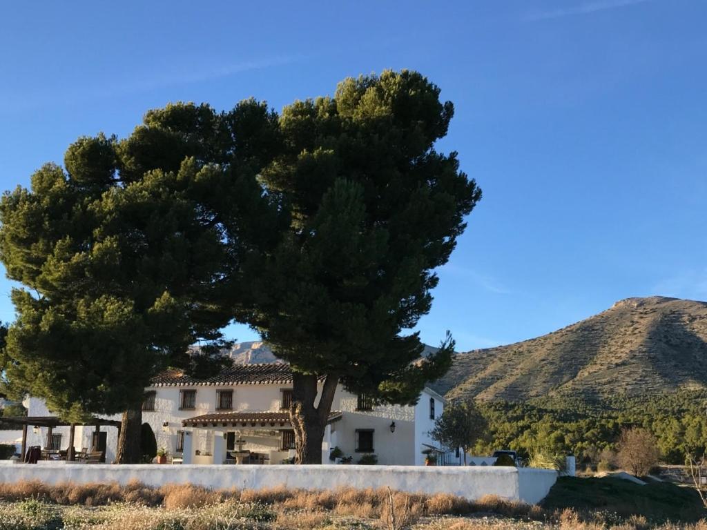 Bed and breakfast Cortijo El Ciruelo